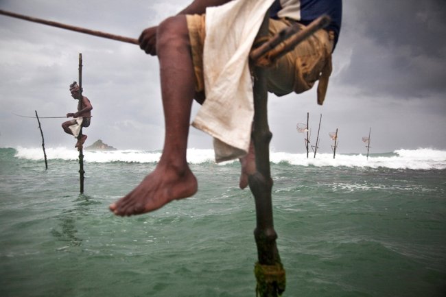 Умирающие традиции рыбалки на сваях в Шри-Ланке