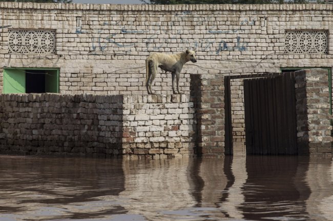 Историческое наводнение в Индии и Пакистане