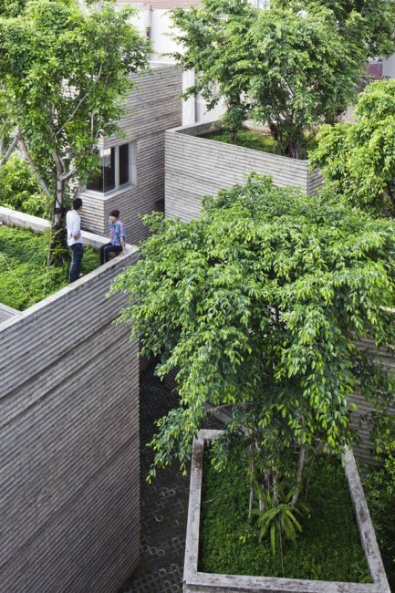 Дом деревьев в Хо Ши Мине
