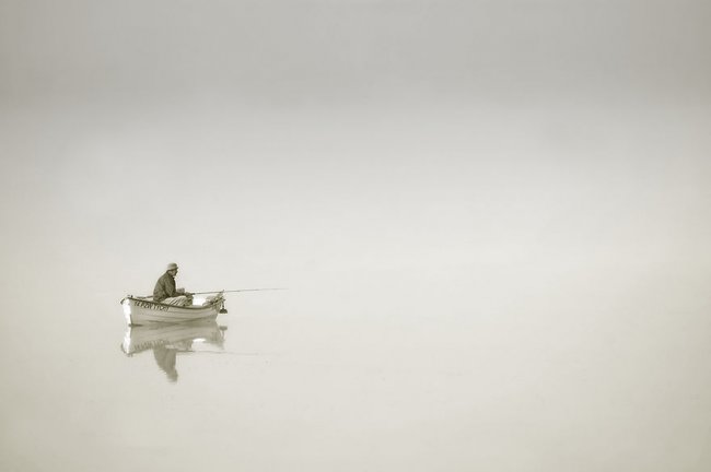Туманная жизнь на озере