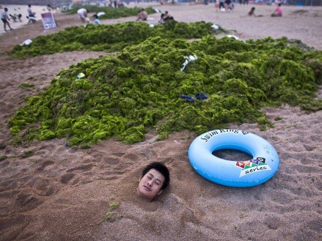 Нашествие зеленых водорослей