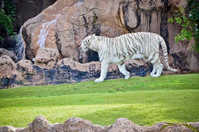 Самые красивые зоопарки мира