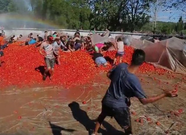 Битва помидорами в Чили