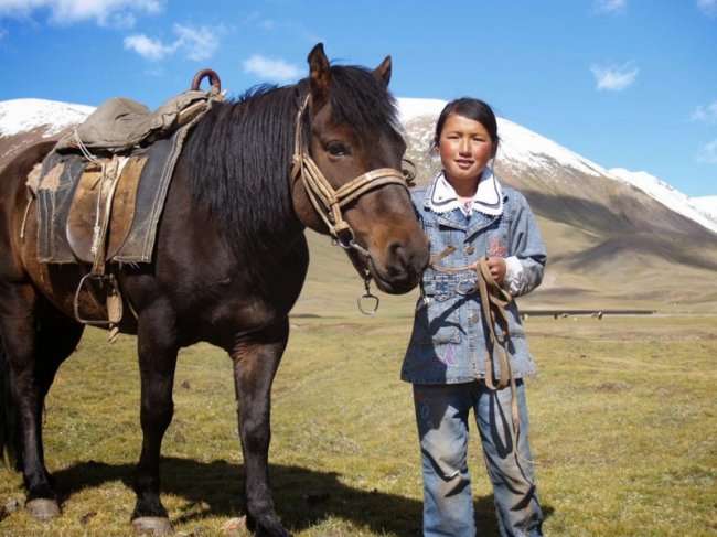 Любопытное о Монголии