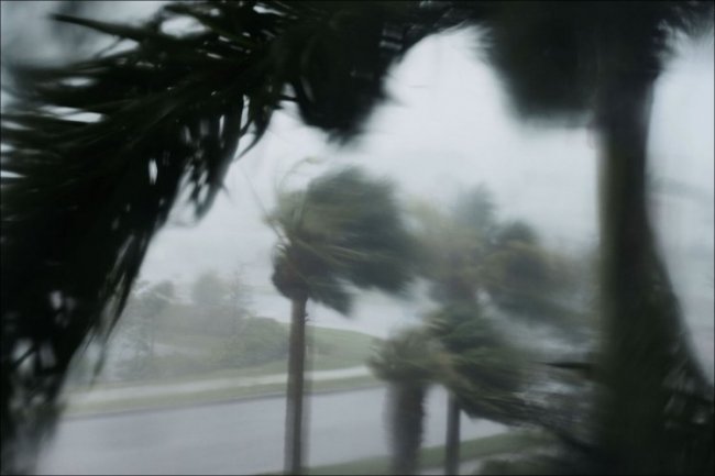 Флорида после урагана «Ирма»