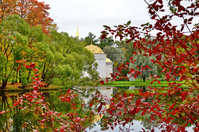 Золотая осень в музее-заповеднике Царское Село