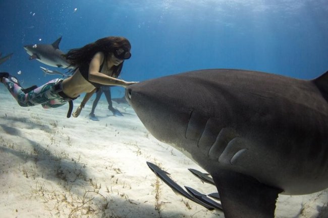 Австралийка с 12-ти лет плавает с акулами