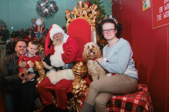 Британка купила 68 рождественских подарков собаке