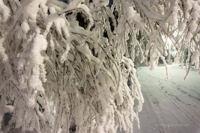Зима в Лапландии