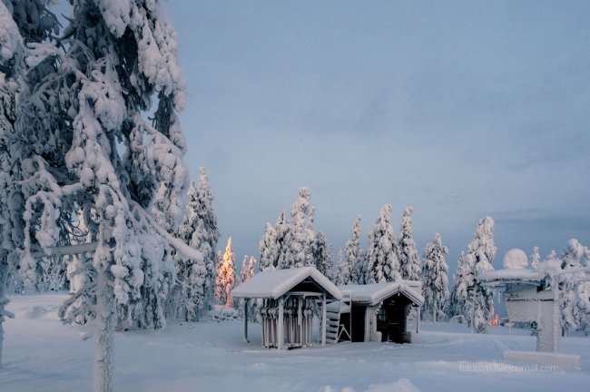 Зима в Лапландии
