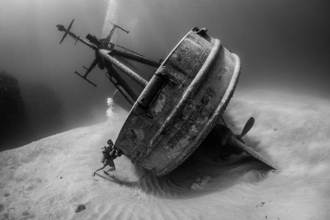 Победители конкурса подводной фотографии 2018
