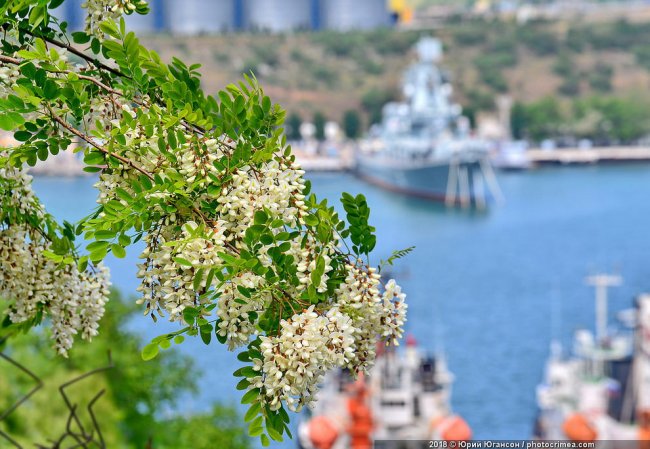 Крым в мае