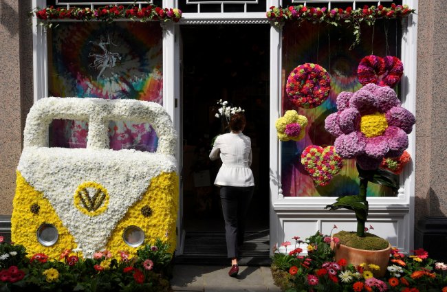 Крупнейшая в Европе цветочная выставка The RHS Chelsea Flower Show