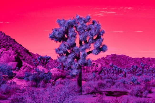Калифорния на инфракрасных снимках Кейт Баллис