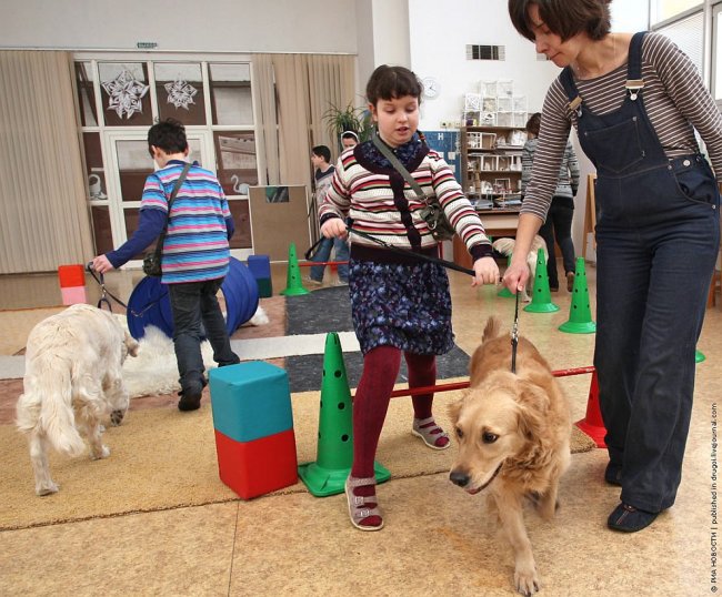 Канис-терапия: как собаки помогают больным детям