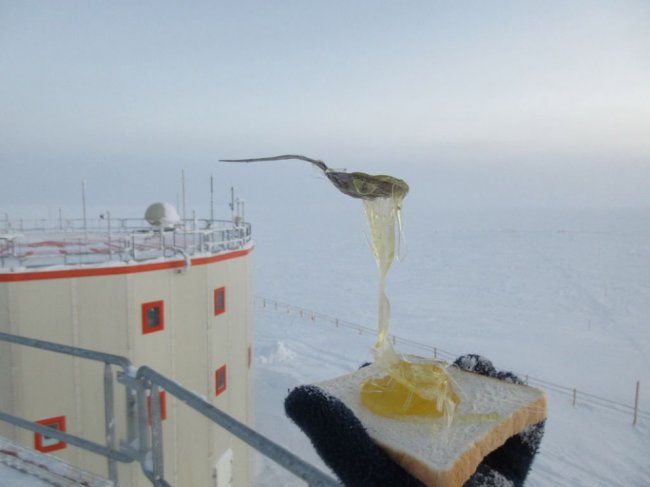 Что будет с едой в Антарктиде?