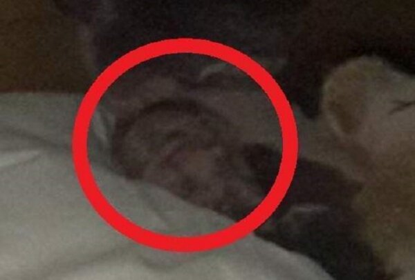 В Шотландии отец сфотографировал дочь, спящую с призраком