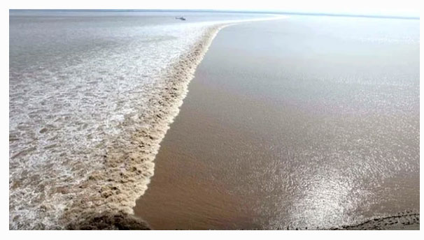 Самая большая приливная волна в мире - бор на реке Цяньтан
