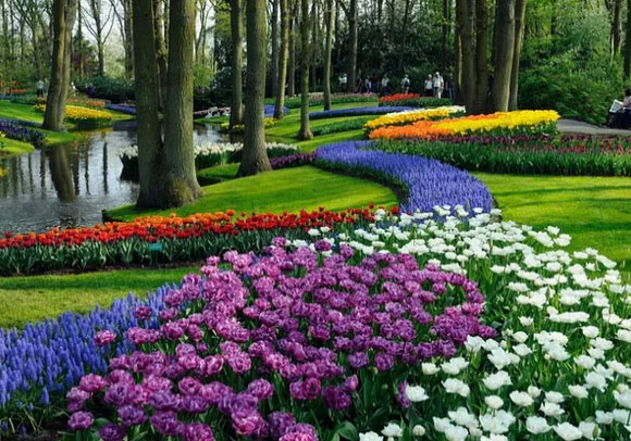 Кекенхоф в Нидерландах как сказочное королевство цветов