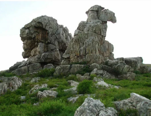 Верблюд гора – памятник сухостепного Приуралья