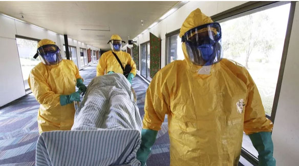 Африканцы рискуют заразиться вирусом Эбола