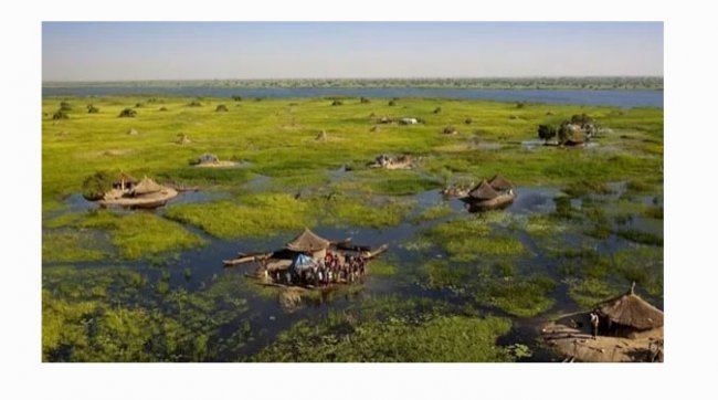 Самое большое болото Африки, на котором живут люди. Нилоты на болоте Судд