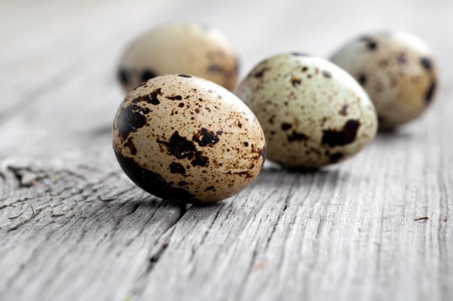 Полезные свойства перепелиных яиц для мужчин
