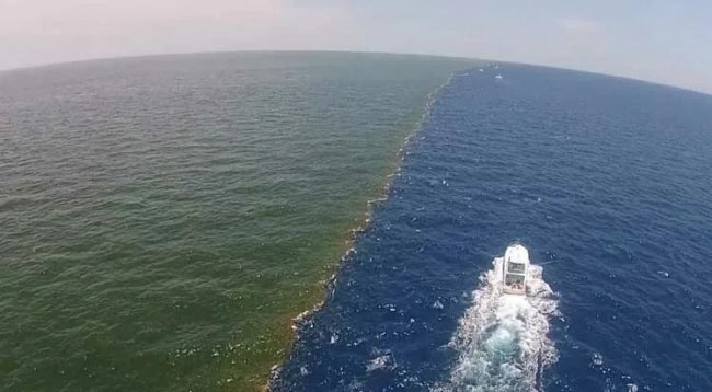 Удивительная морская граница, на которой два океана никогда не смешиваются