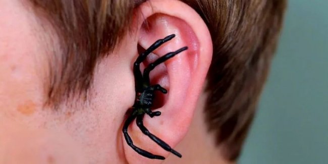 5 насекомых найденных в человеческих ушах