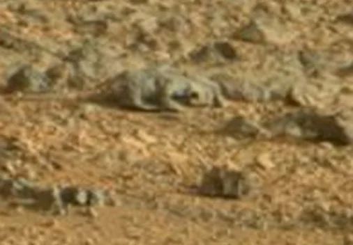 10 самых загадочных фотографий с Марса