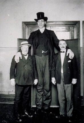 Самые высокие женщины планеты