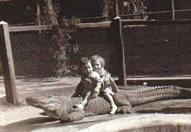 Фото детей верхом на аллигаторах