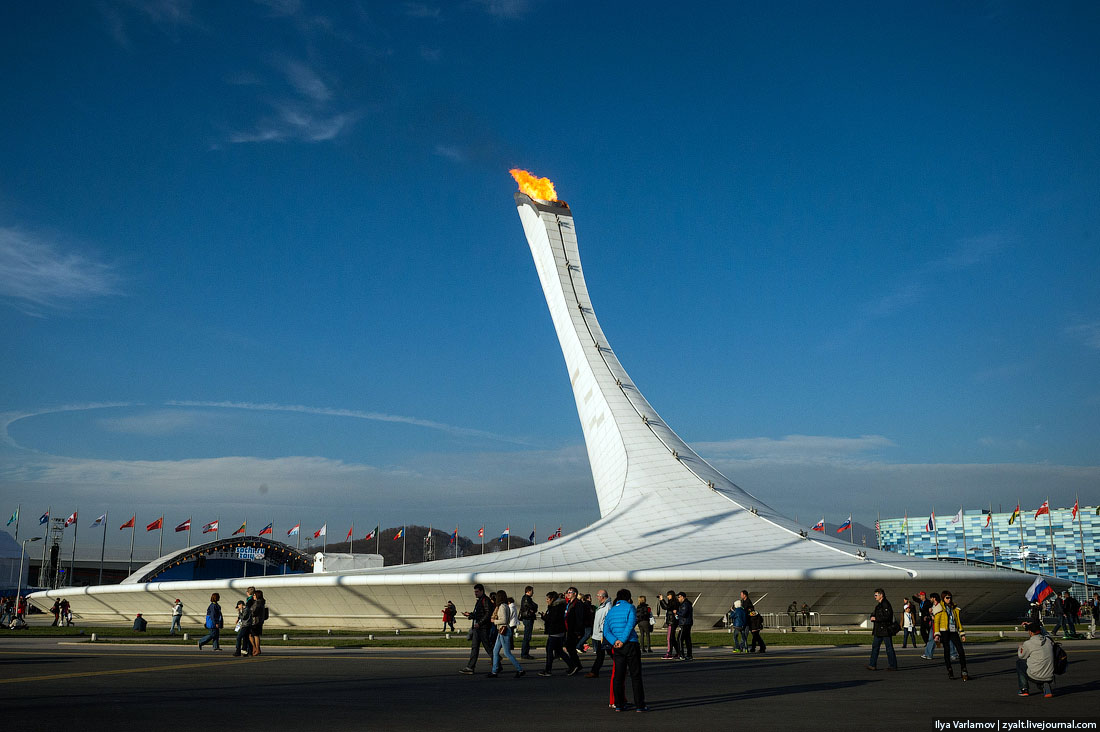 Камеры олимпийский парк