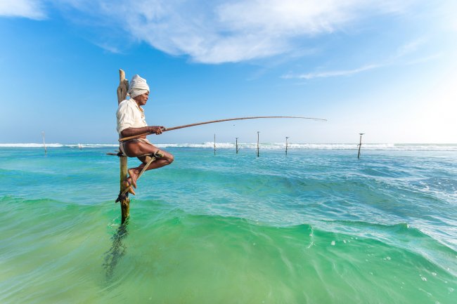 Рыбалка на сваях: необычный аттракцион на острове Шри-Ланка