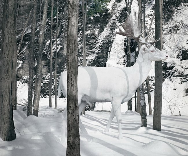 Фотограф Simen Johan