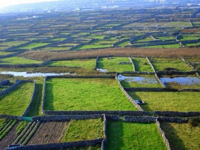 Каменные стены в Ирландии