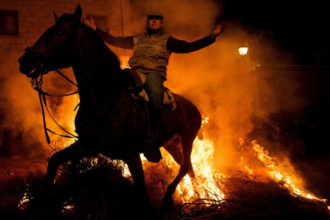 Огонь и лошади: День святого Антонио 2016