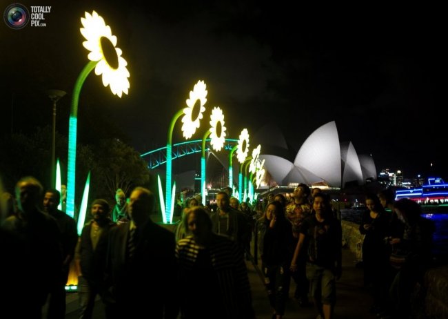 Ежегодный австралийский фестиваль музыки и света