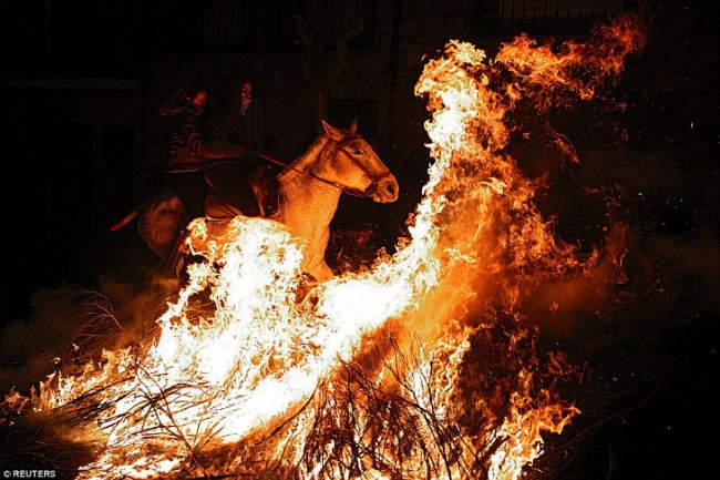 Огонь и лошади: День святого Антонио 2018