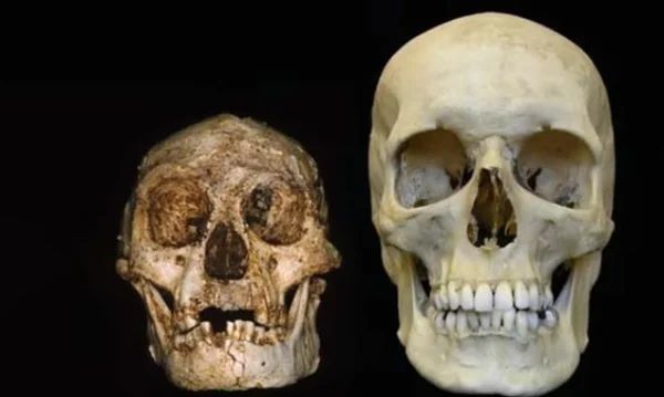 4 удивительных археологических находок человека под землёй